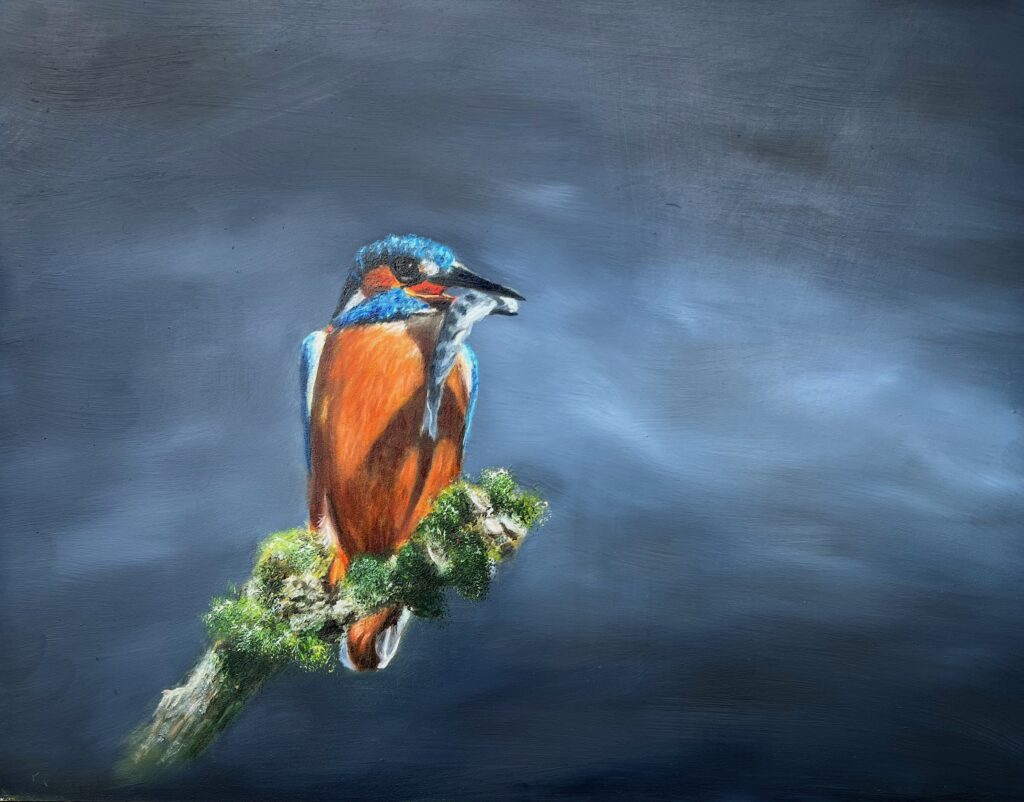 Kingfisher Oil painting of a kingfisher on a branch holding a small fish