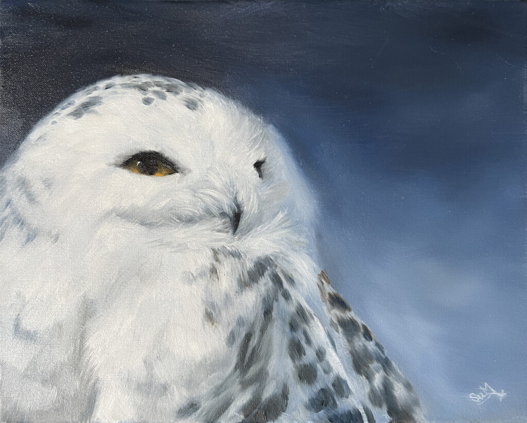 Snowy Owl, Owl art, Wildlife Painting, Oil Painting