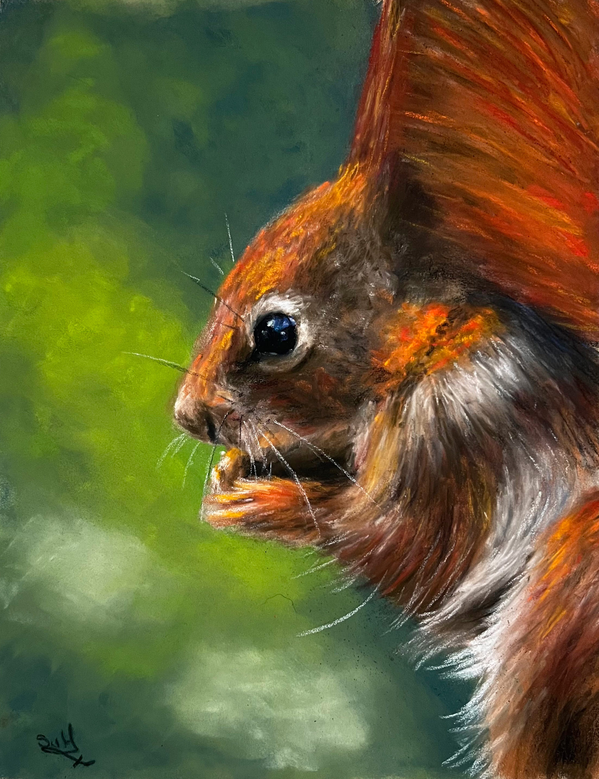 Red Squirrel Oil Painting