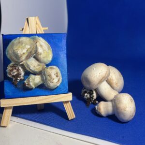 The Minis - Mushrooms