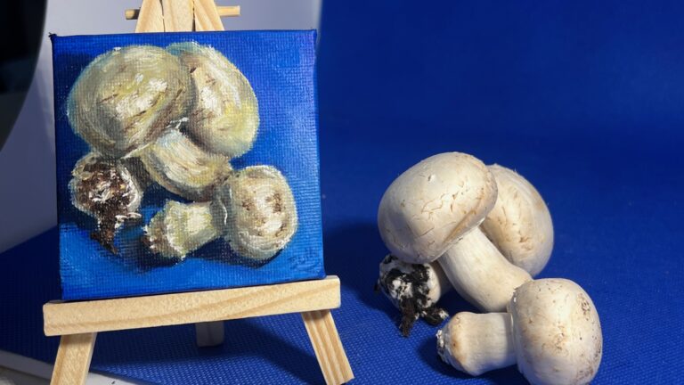 The Minis – Mushrooms